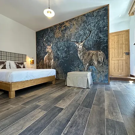 Nocleg ze śniadaniem Esplora Lake House Barrea