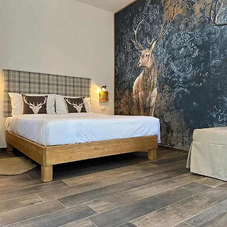 Esplora Lake House Nocleg ze śniadaniem Barrea