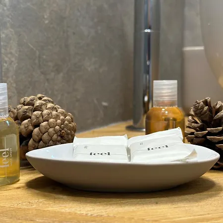 Nocleg ze śniadaniem Esplora Lake House Barrea